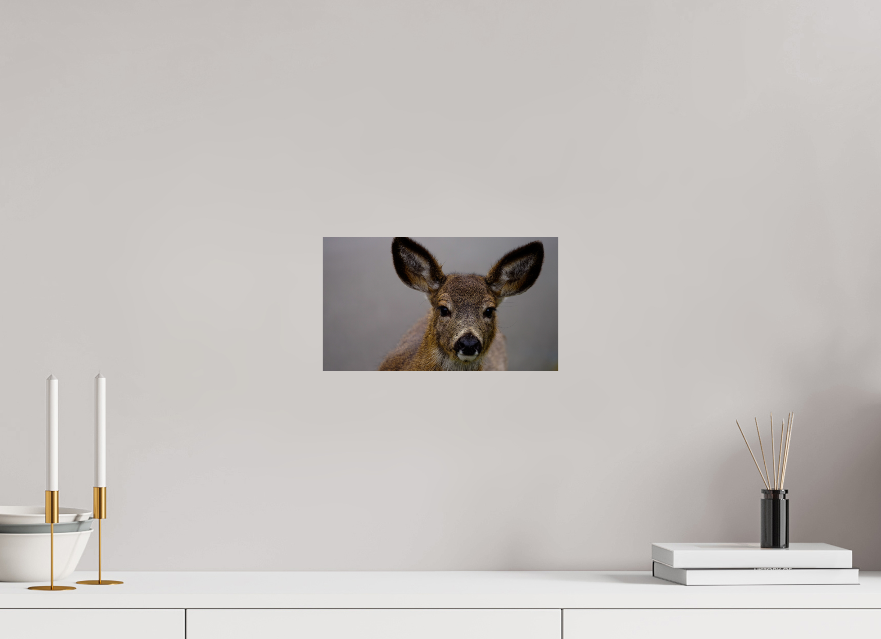 12 x 6.8″, Photo Print On Fuji Crystal DP II This is my pet dog